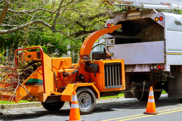 Best Emergency Tree Removal  in Flemington, PA